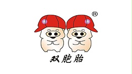 双胞胎