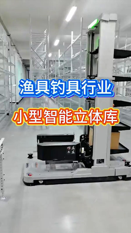 渔具制造厂小型自动化立体仓库